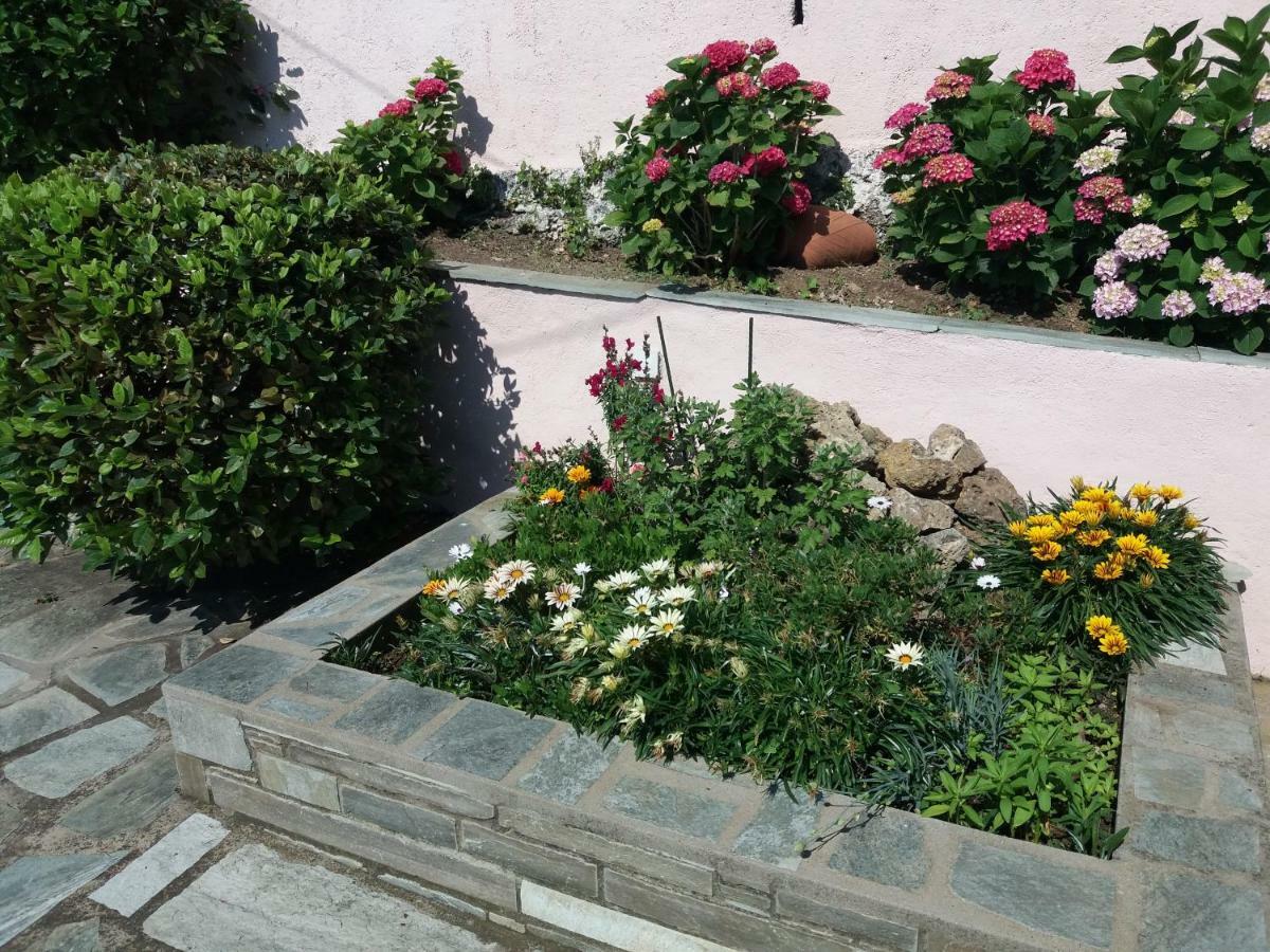 Tsagarada Cottage Екстериор снимка